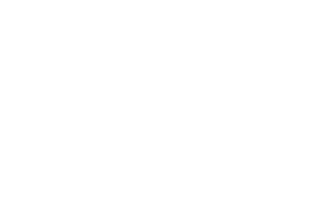 icon showing a government building